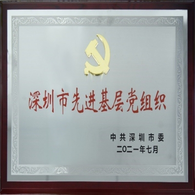 百年華誕，喜獲殊榮——國微電子黨總支榮獲“深圳市先進基層黨組織”稱號