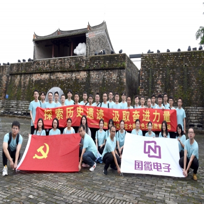 探索歷史遺跡，汲取奮進(jìn)力量——國微電子黨總支大鵬紅色主題教育活動